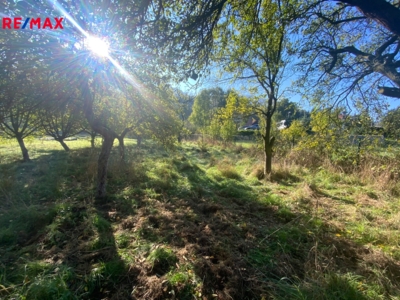 REMAX Brno REMAX Brno