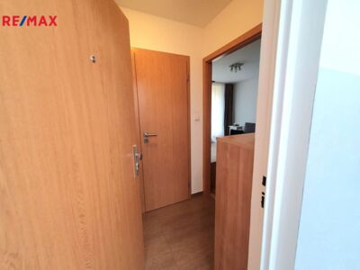 Práce v realitách Brno