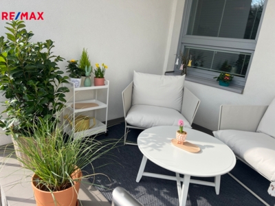 2989094.jpeg 2989094.jpeg