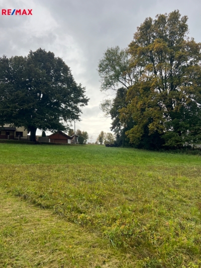 REMAX Brno REMAX Brno