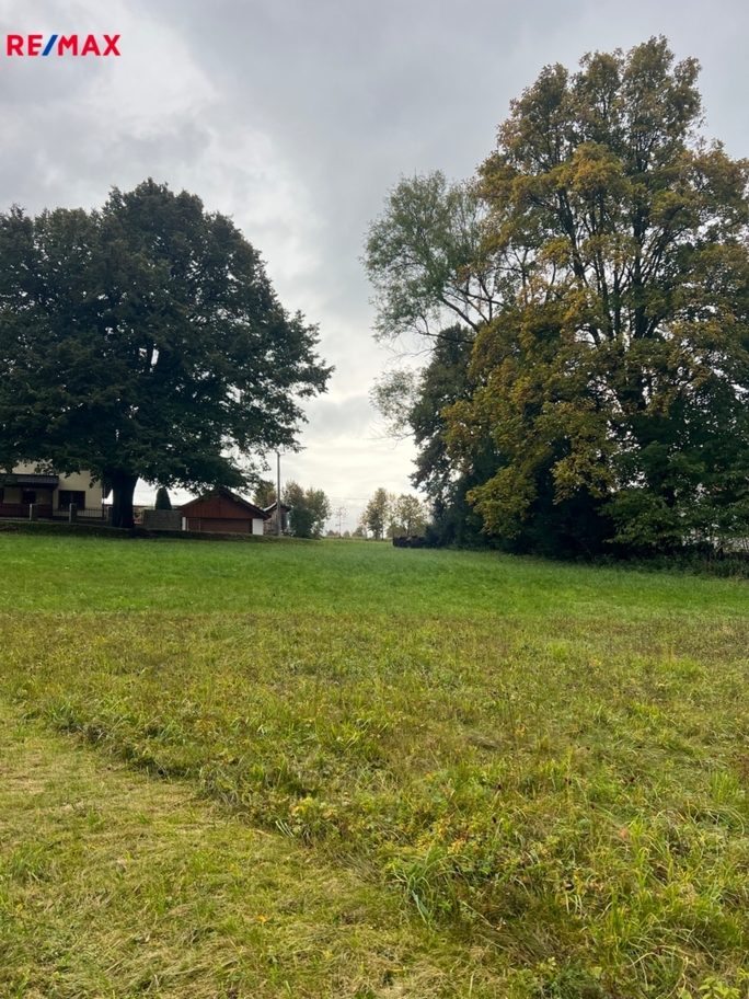 REMAX Brno REMAX Brno