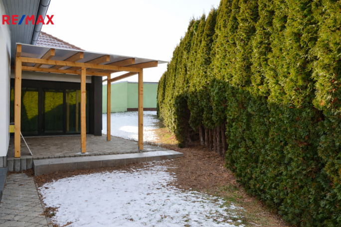 3167612.png 3167612.png