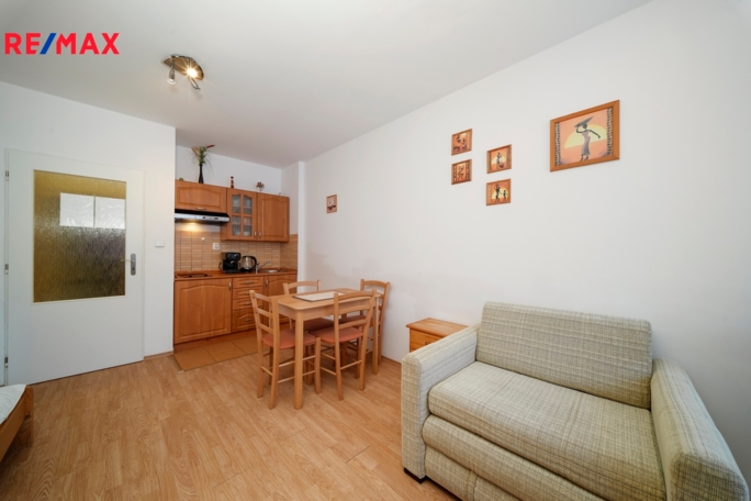 Prodej apartmánu, 30 m2, Ostružná - obrázek 5