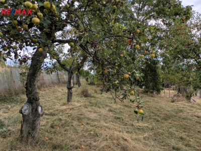 Prodej nemovitostí Brno Prodej nemovitostí Brno