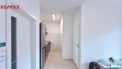 REMAX Delux