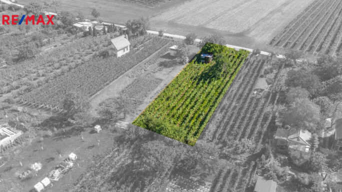 Práce v realitách Brno