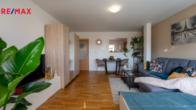 REMAX Delux