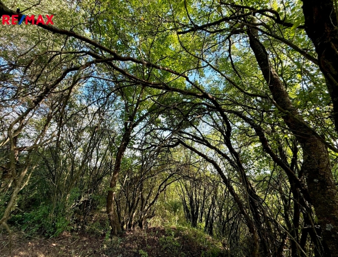 Realitní kancelář Brno Realitní kancelář Brno