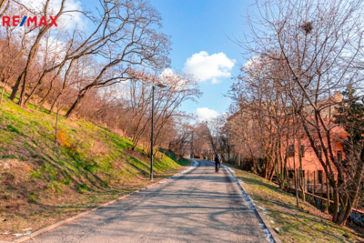 3172889.jpg 3172889.jpg