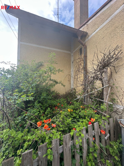 2763664.jpg 2763664.jpg