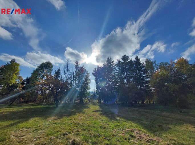 Realitní makléř Brno