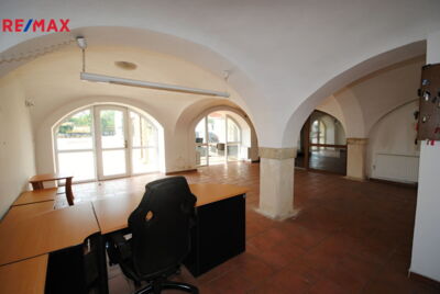 REMAX Delux REMAX Delux