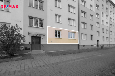 3018490.jpg