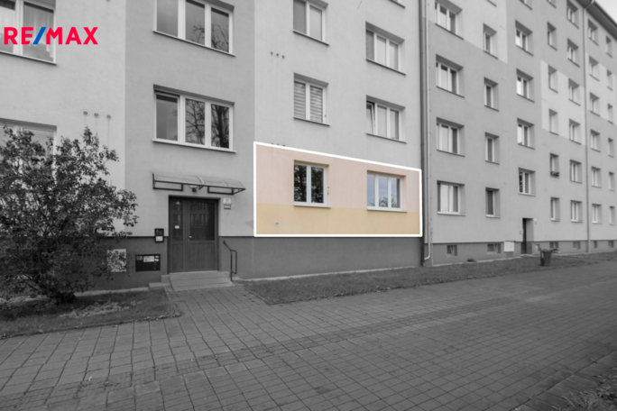 3018490.jpg