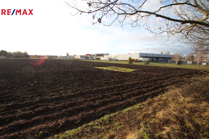 Realitní makléř Brno