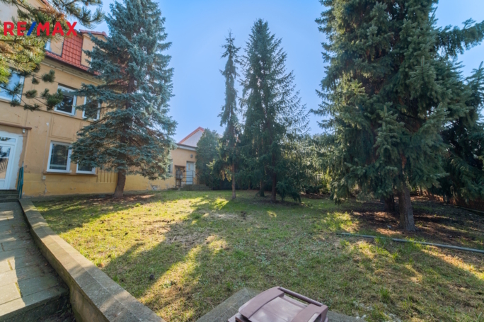 3143981.jpg 3143981.jpg