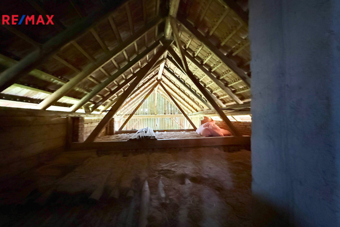 2786908.jpg 2786908.jpg