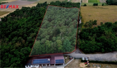 Prodej lesa, 19940 m2, Terezín Prodej lesa, 19940 m2, Terezín