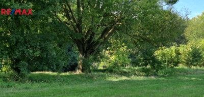 Bulhary