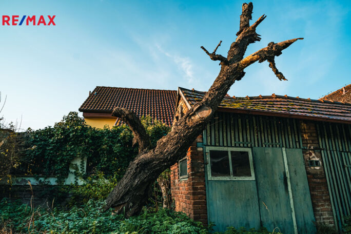 Prodej nemovitostí Brno
