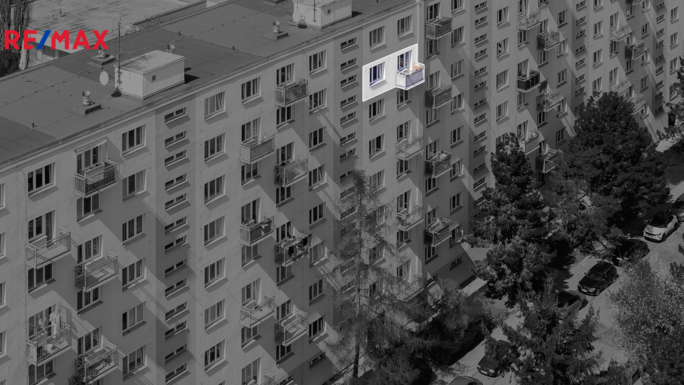 2786727.jpg
