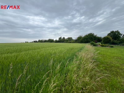 Prodej zemědělského pozemku, 18159 m2, Krupá Prodej zemědělského pozemku, 18159 m2, Krupá