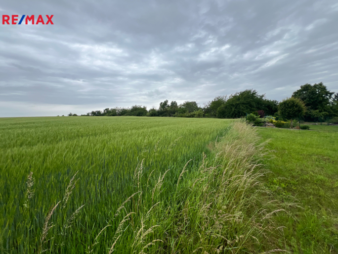 Prodej zemědělského pozemku, 18159 m2, Krupá Prodej zemědělského pozemku, 18159 m2, Krupá