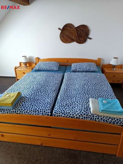 REMAX Delux REMAX Delux