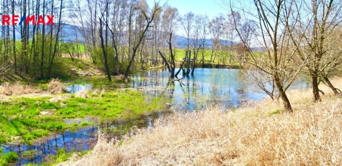 Práce v realitách Brno