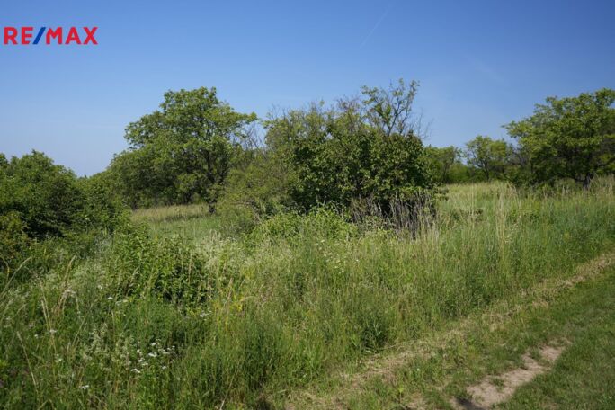 Prodej sadu/vinice, 3780 m2, Hustopeče - obrázek 8