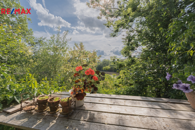 2830751.jpg 2830751.jpg