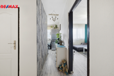 Práce v realitách Brno