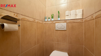 REMAX Delux