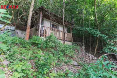 2830742.jpg 2830742.jpg