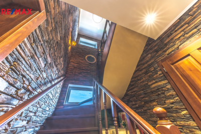 REMAX Delux REMAX Delux