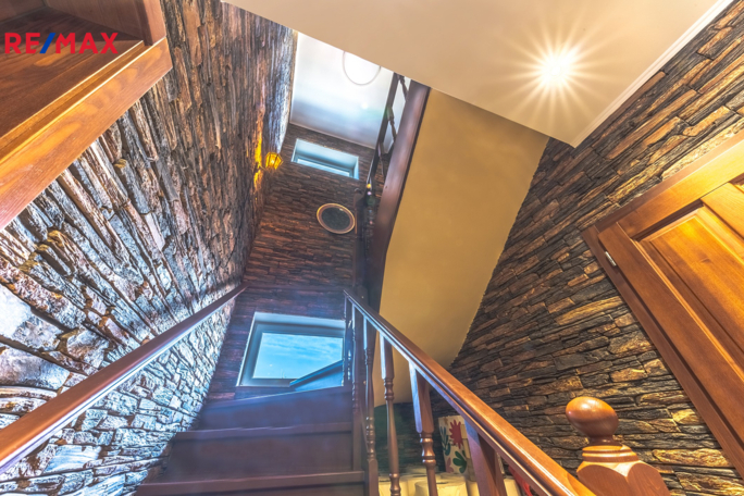 REMAX Delux REMAX Delux