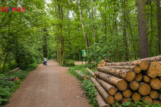 2740099.jpg 2740099.jpg