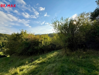 Bílovice nad Svitavou Bílovice nad Svitavou