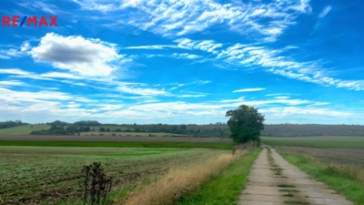 Realitní makléř Brno