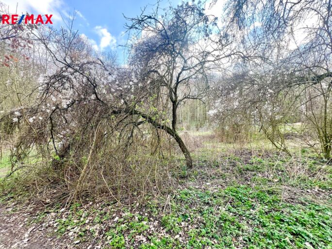 Práce v realitách Brno