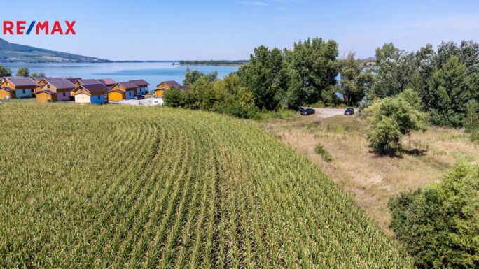 Prodej pozemku pro bydlení, 12306 m2, Šakvice - obrázek 7