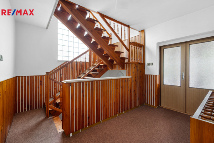 REMAX Delux