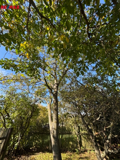 3058672.jpg 3058672.jpg