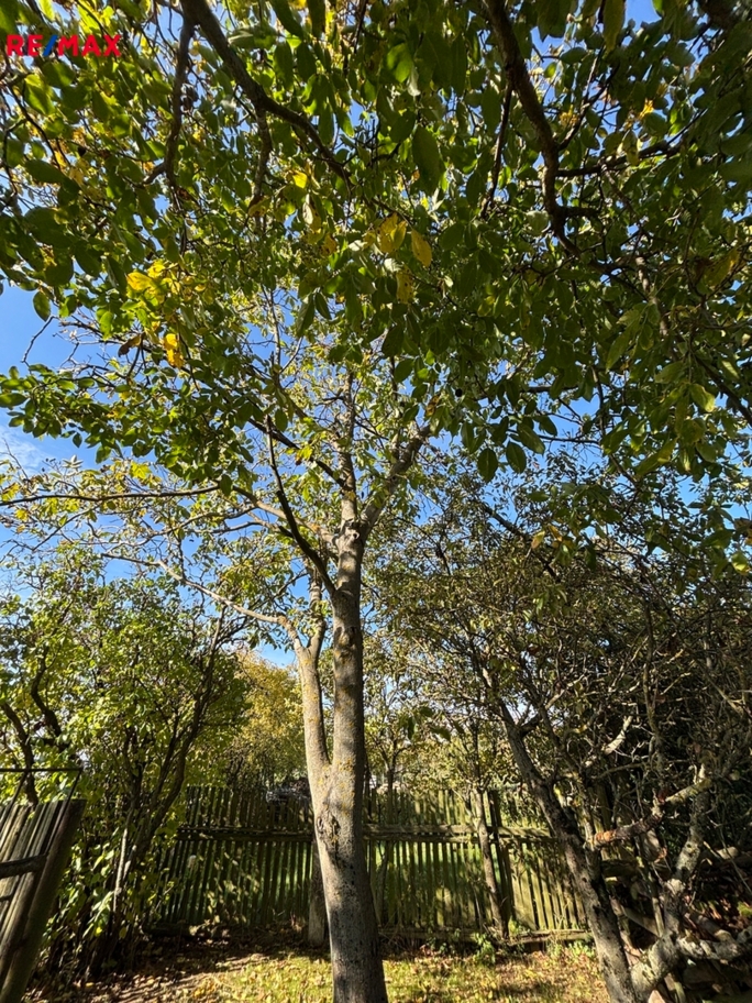 3058672.jpg 3058672.jpg