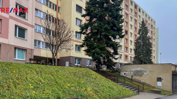 3130869.jpg 3130869.jpg