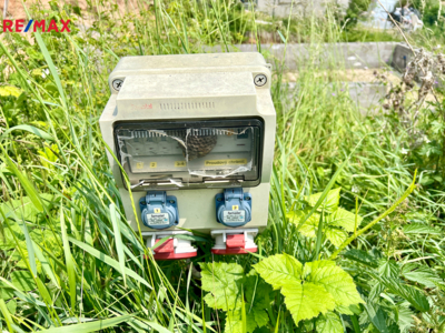 2847516.jpeg 2847516.jpeg