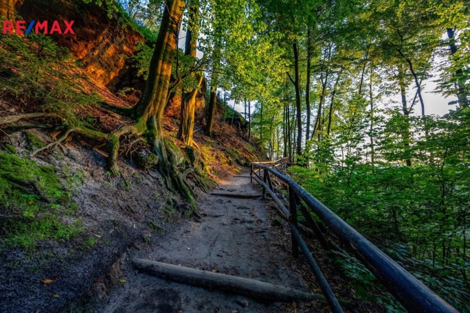 3029602.jpg 3029602.jpg