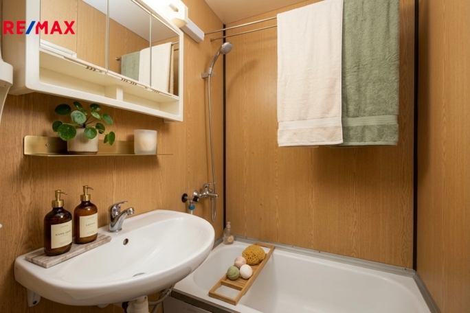 Prodej nemovitostí Brno