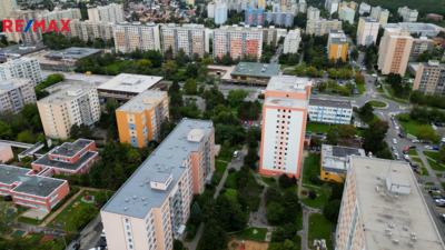 3026940.jpg