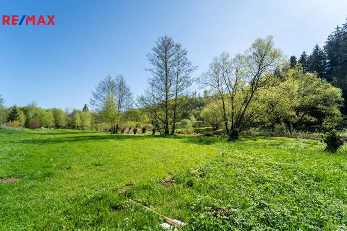 2787236.jpg 2787236.jpg